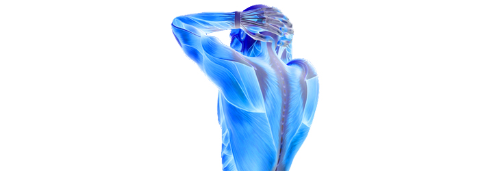 Chiropractic Torrance CA Fibromyalgia